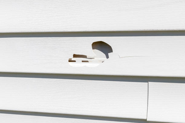 Best Storm Damage Siding Repair  in Islandia, NY